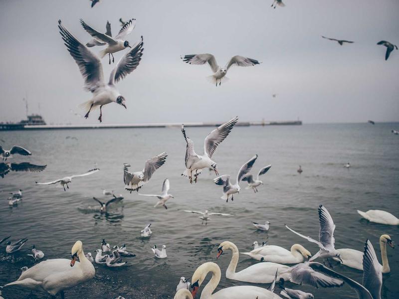 sudoku technique mastery screenshot 5