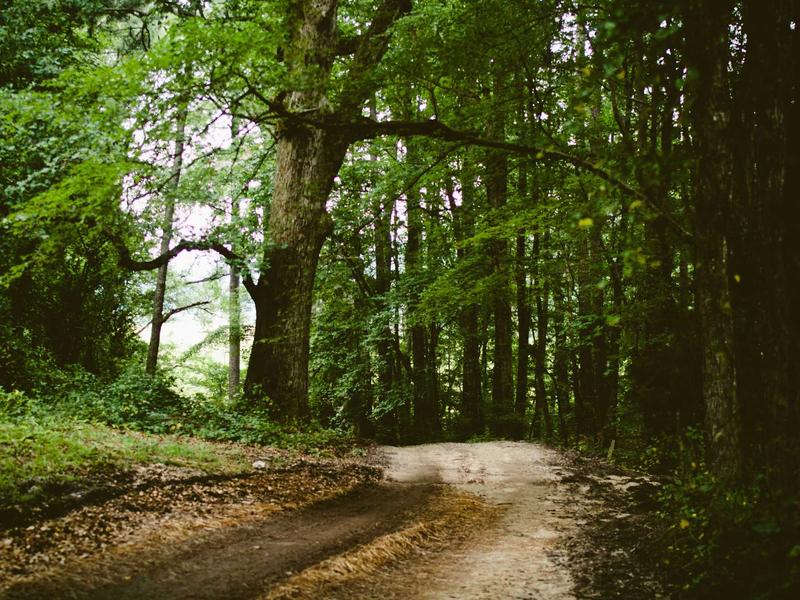 sudoku technique mastery screenshot 6